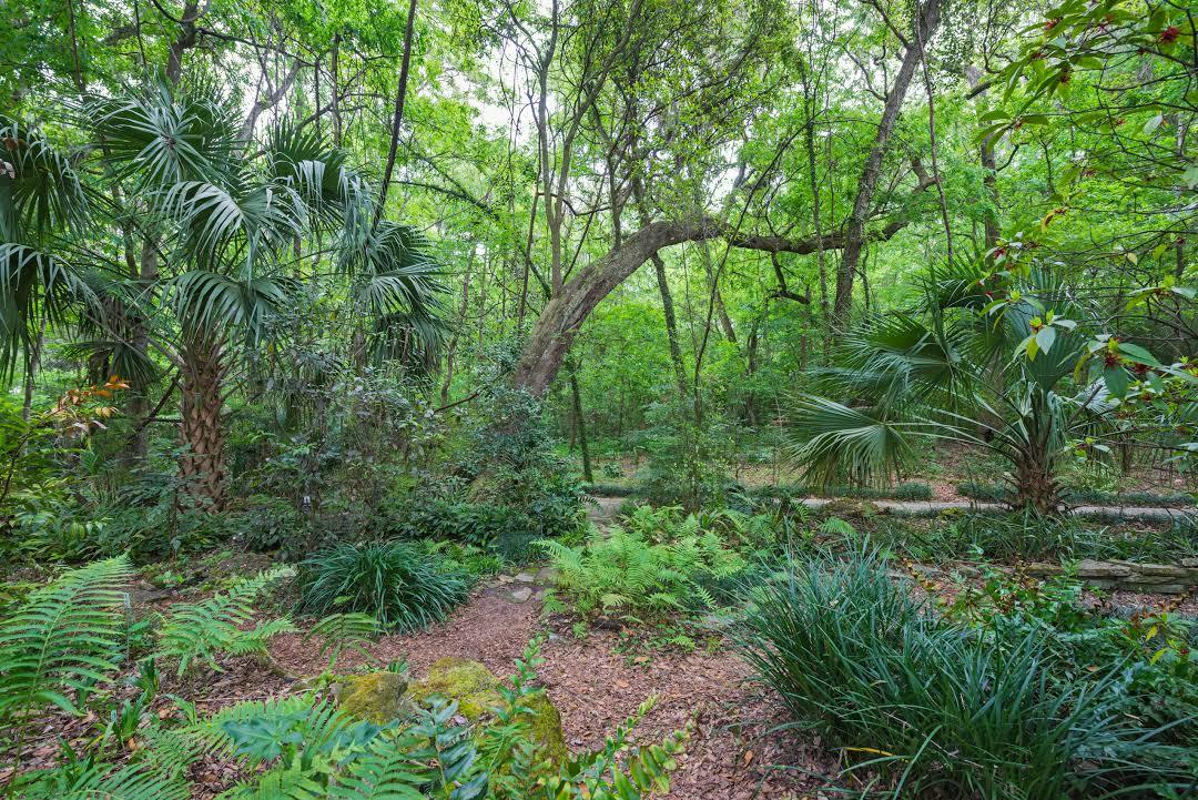 Kanapaha Botanical Gardens